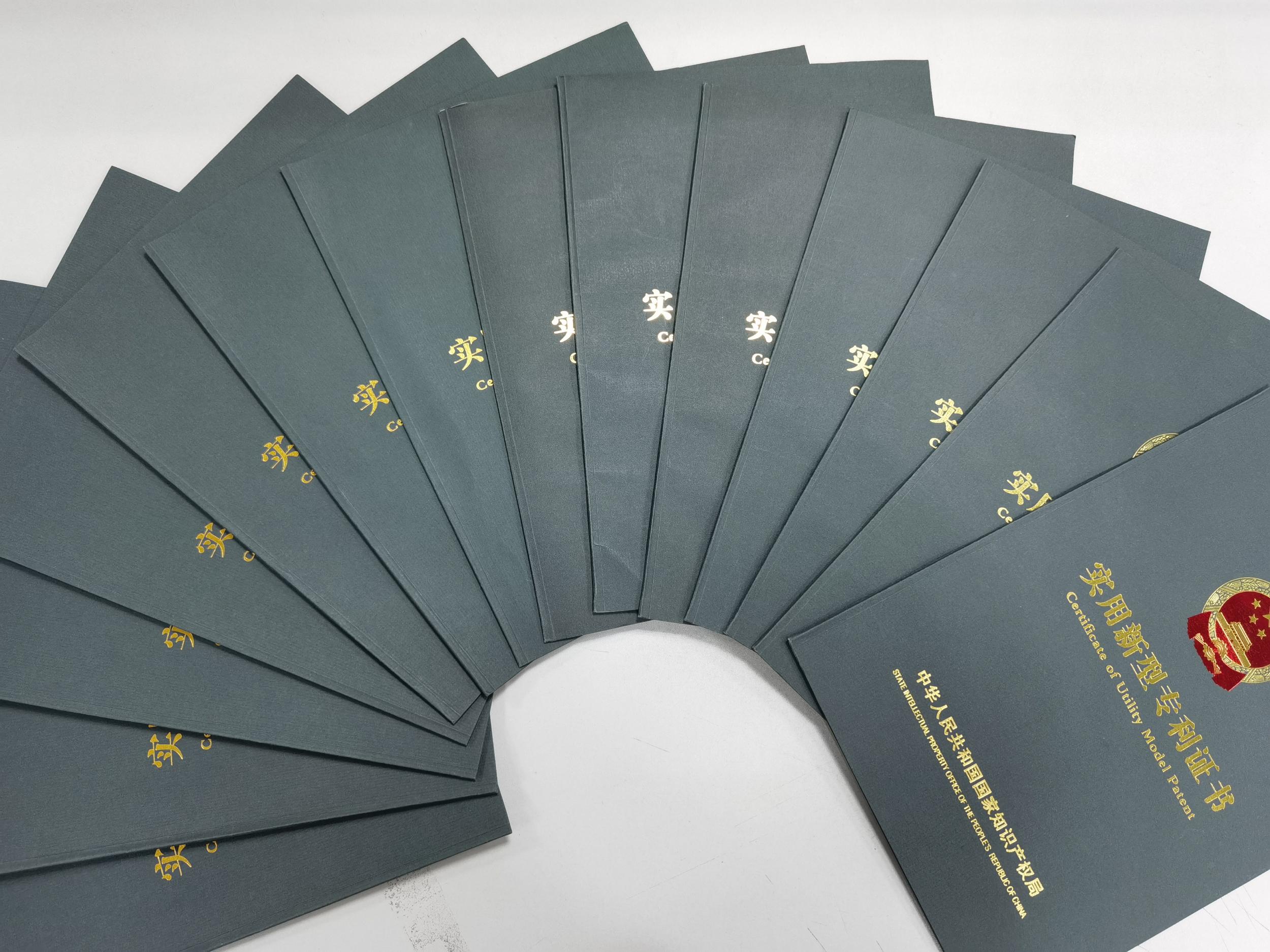 Utility Model Patent